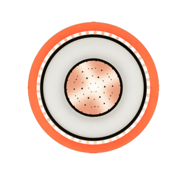 Cáp điện Cadisun 1 lõi, màn chắn sợi đồng, không giáp – C(A)XV/CWS-W 1x? – 20/35(40.5) hoặc 20/35(38.5) kV